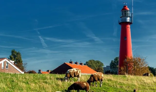 Hollanda'daki Hook of Holland plajı, kum tepeleri ve Kuzey Denizi kıyısı