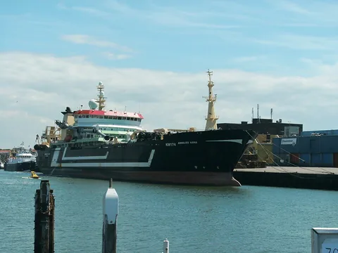 Amsterdam (Ijmuiden), Hollanda manzarası